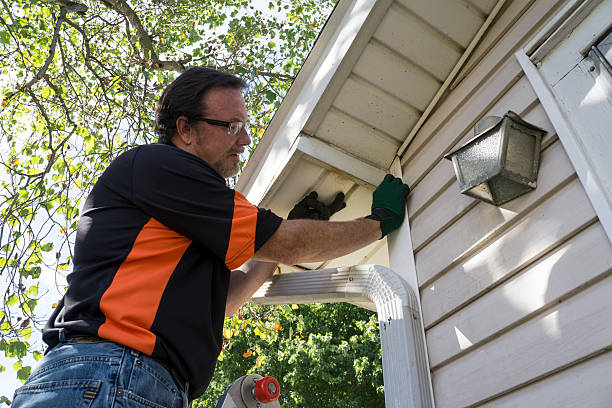 Reliable Ball, LA Siding Installation & Repair Solutions